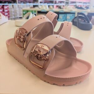 Big Buckle Arizona Sandals